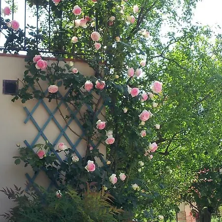 La Tana Del Ghiro Roncofreddo