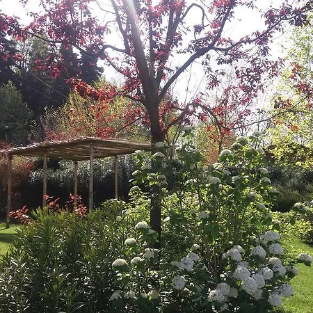 La Tana Del Ghiro منزل ريفي