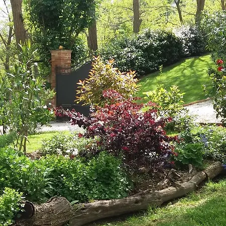 La Tana Del Ghiro * Roncofreddo