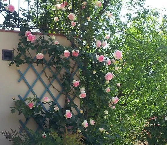 La Tana Del Ghiro Roncofreddo